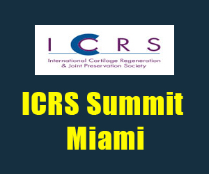 ICRS Summit Miami